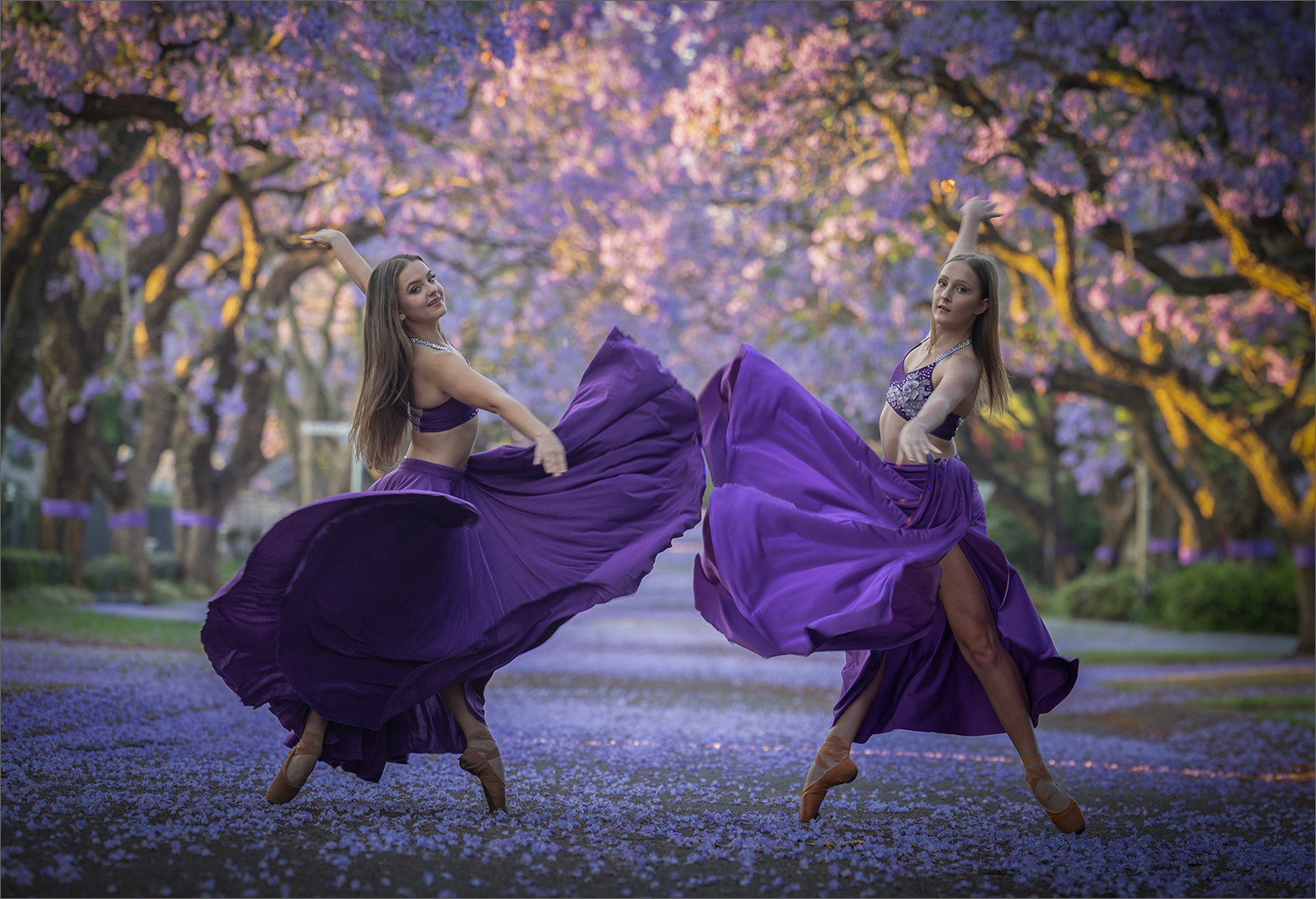 Beneath the Jacarandas, photographed by Mia Joubert