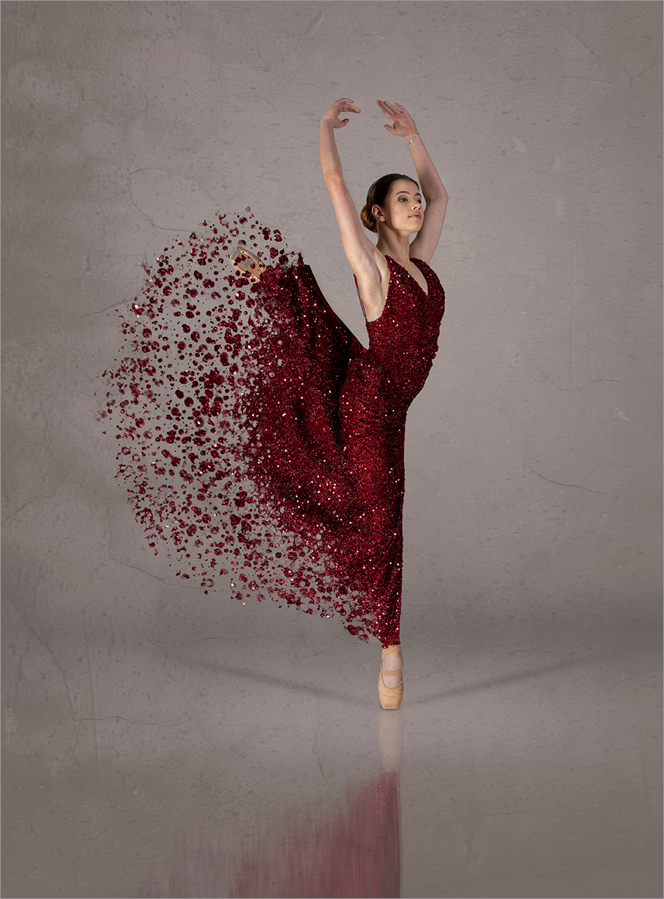 Rose Petals, photographed by Mia Joubert
