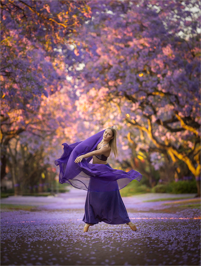When Jacarandas Dance, photographed by Mia Joubert