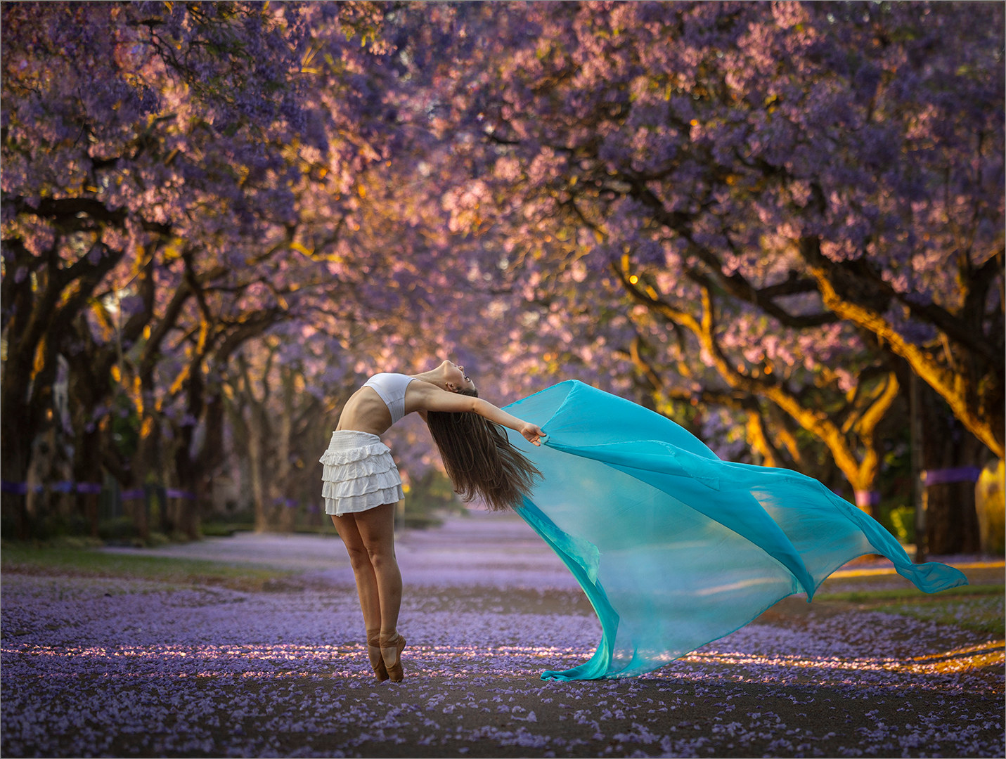 A Season of Flight, photographed by Mia Joubert