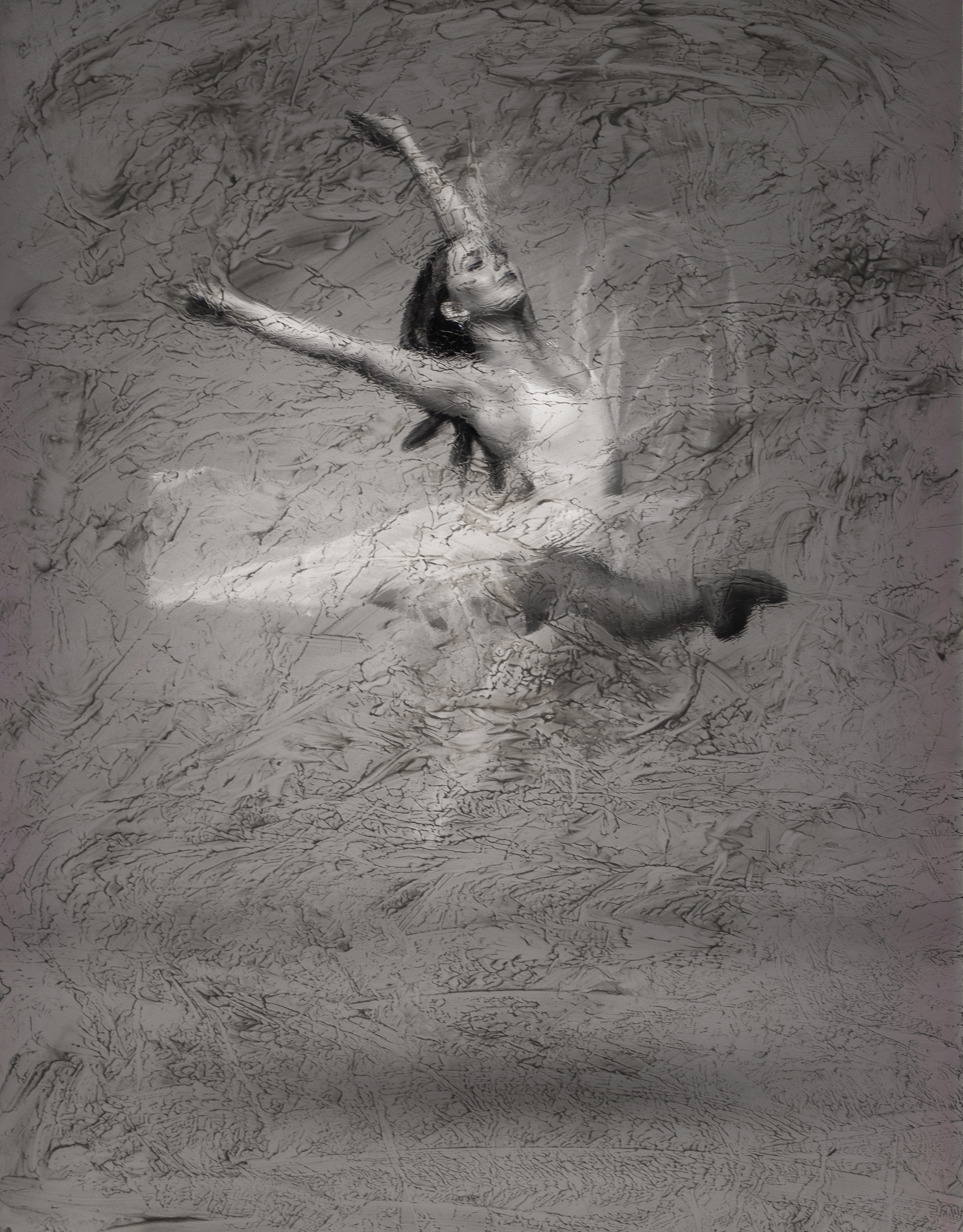 Fragments in Flight, photographed by Mia Joubert