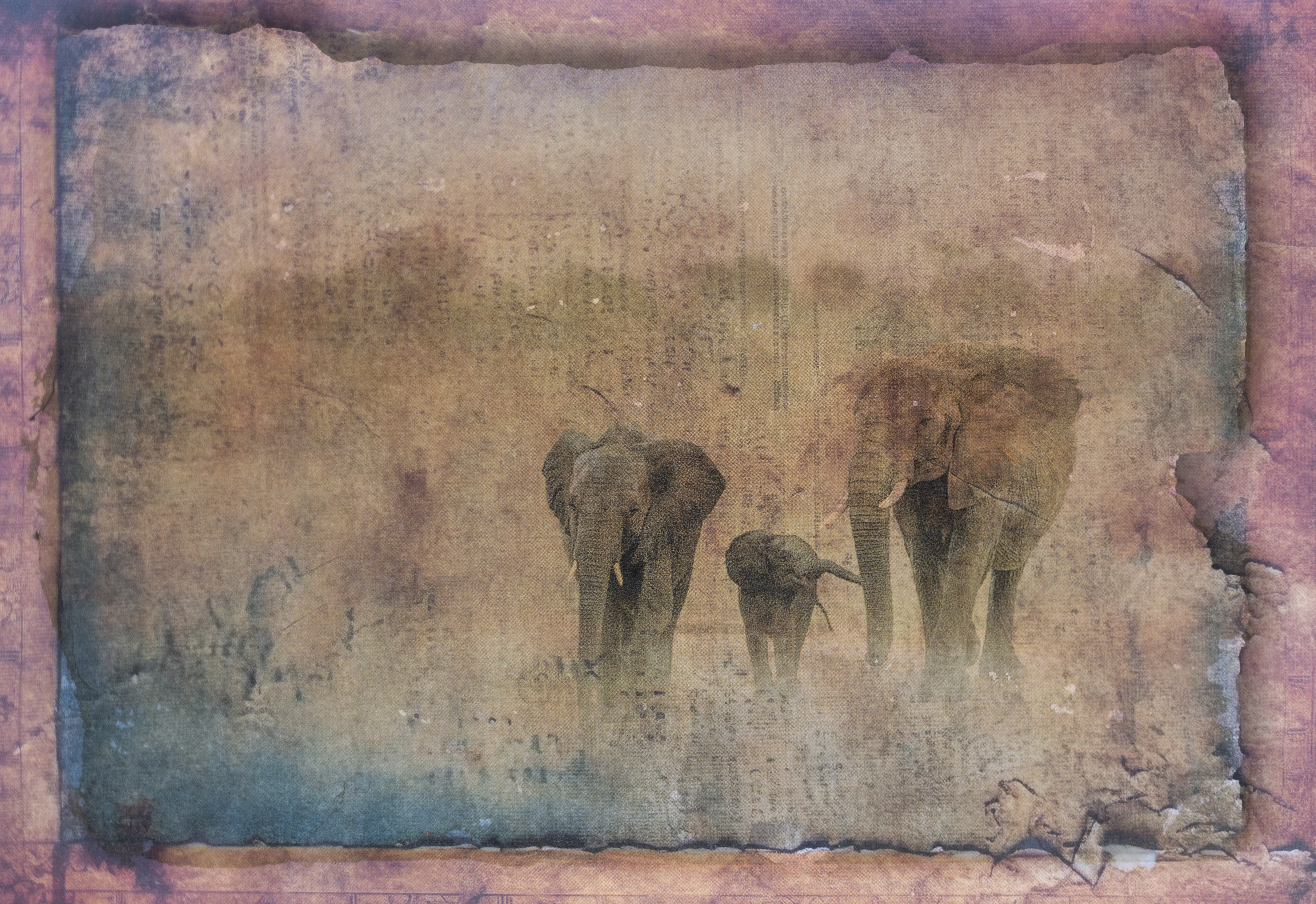 Ancestral Passage, photographed by Mia Joubert