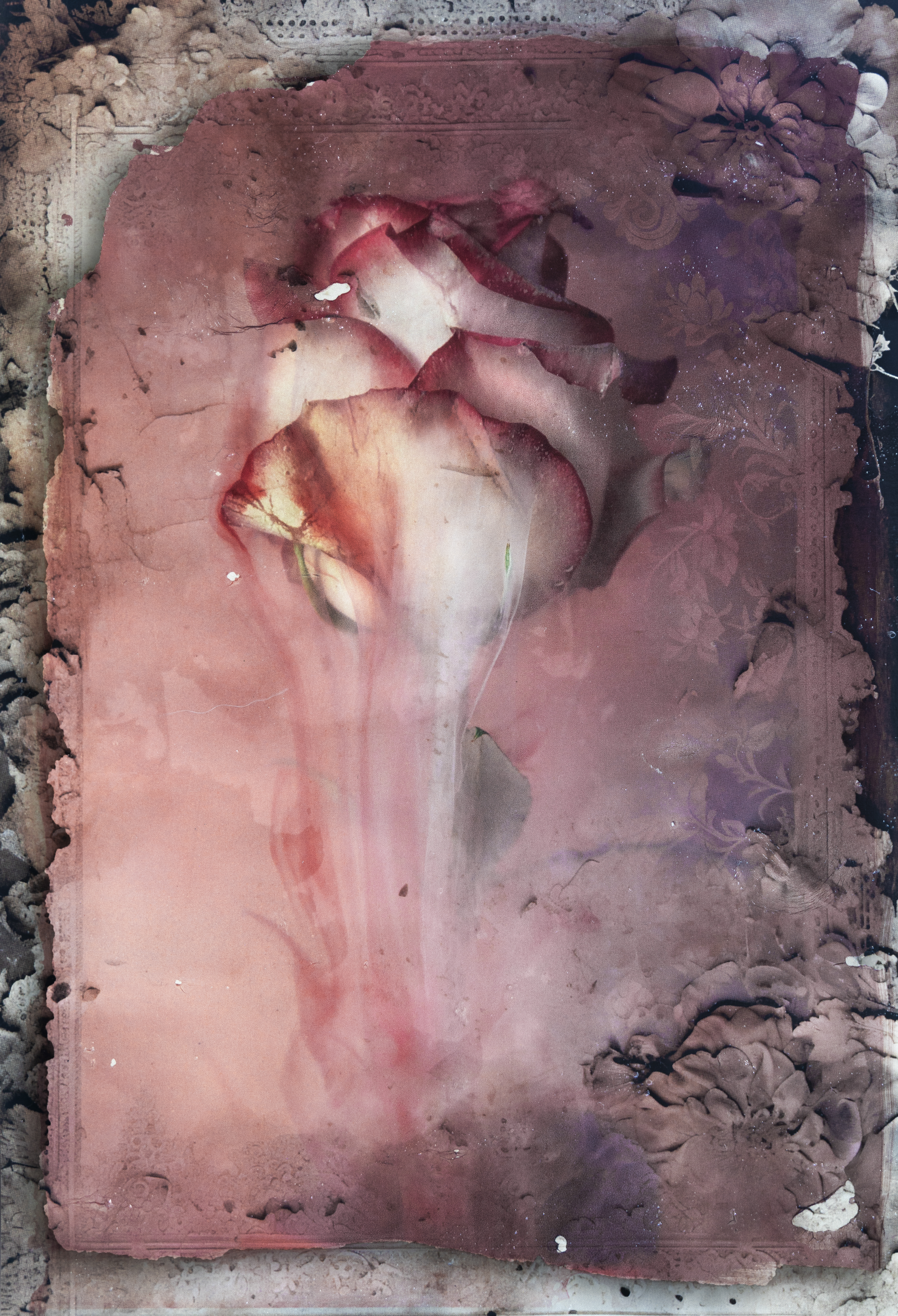 Dissolving Grace, photographed by Mia Joubert