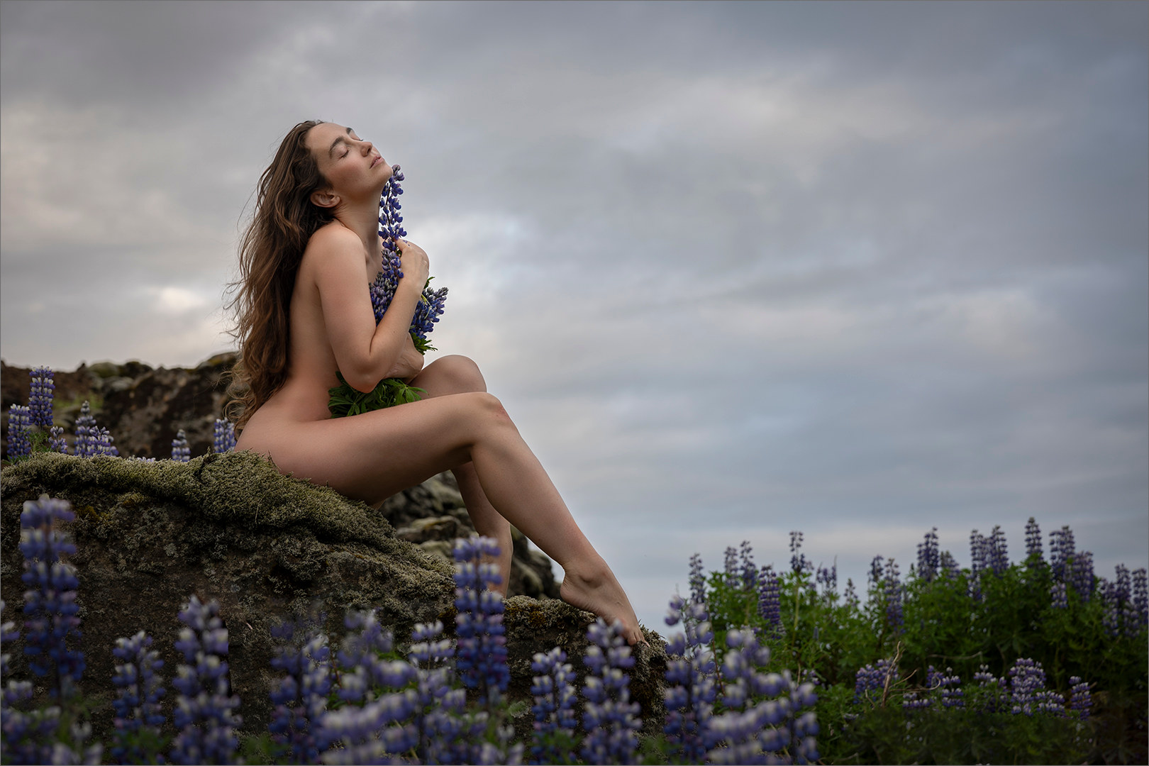 Among the Lupins, photographed by Mia Joubert