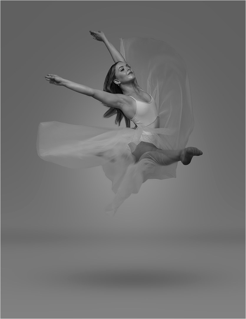A study in flight photograph by Mia Joubert